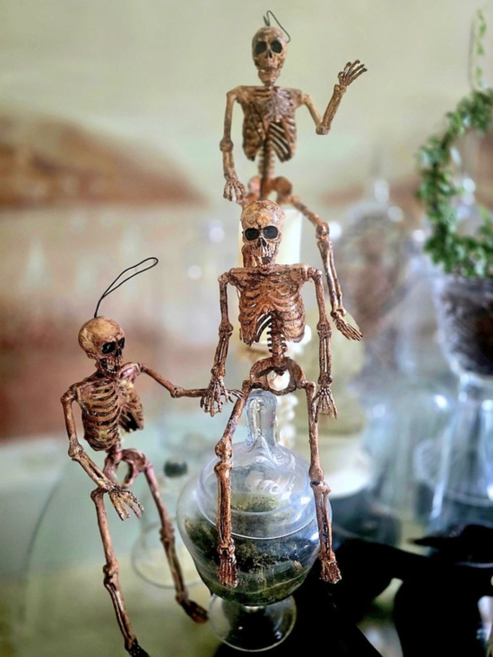 Skeleton Corpse 15" Tabletop Desk Display for Halloween